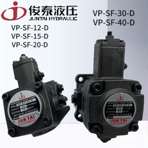 Pompe à palettes variables JUNTAI VP-SF-40-D 40cc, pression max. 70kgf/cm, utilisation huile hydraulique - Product Image 3
