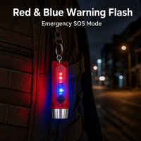 Mini lampe torche EDC 300 lumens à coque transparente facettée, rechargeable, pour porte-clés, vente directe usine pour commandes en gros mondiales