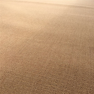 Chaisshanghai — tapis antidérapant en polypropylène 100%, accessoire de salon et de maison, à prix bas, avec boucle, Anti-poussière - Product Image 2