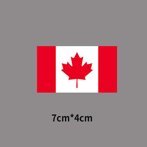 7*4cm petit drapeau de l'amérique autocollants vêtements autocollant de transfert de chaleur personnalisé DTF transferts pays drapeaux autocollants fer sur décalcomanies - Product Image 3