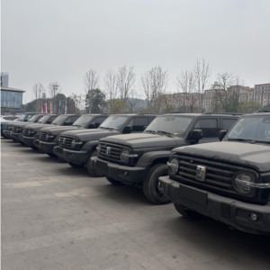 <span class=keywords><strong>รถ</strong></span>ยนต์มือสองจากจีน GWM Tank 300 SUV เครื่องยนต์เทอร์โบ อัพเกรดสมร<span class=keywords><strong>รถ</strong></span>นะ <span class=keywords><strong>รถ</strong></span>ออฟโรด ขับเคลื่อนล้อหน้า <span class=keywords><strong>รถ</strong></span>ใช้แล้ว Tank300 Knight ราคา ปี 2025 2024 - Product Image 6