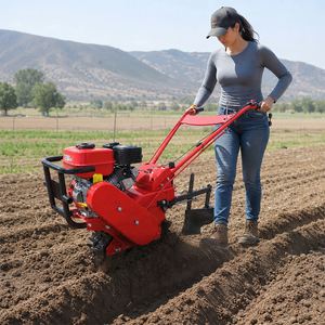 Factory Wholesale 7HP Gasoline/Diesel Power Tiller Mini Tiller <b>Machine</b> Energy Saving Multifunctional for African Farm Land - Product Image 1