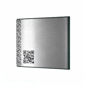 Modules et modems émetteurs-récepteurs RF C42GM-M16GNH du fabricant - Product Image 1