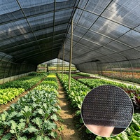 Agrarisch HDPE gebreid zonwerend net 50% 70% 80% UV-bestendig voor boomgaard, groenteteelt, kwekerij, kas, boerderij
