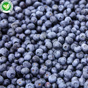 Frozen IQF Best Organic Wild Blueberry Unsweetened Bulk Flash Freezing Fresh Picked Blueberries Compliments Wholesale Price