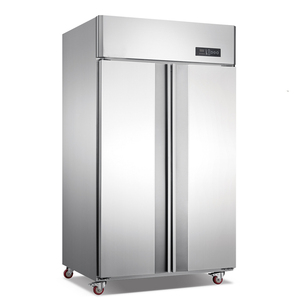 Réfrigérateur de cuisine à <span class=keywords><strong>2</strong></span> <span class=keywords><strong>portes</strong></span> à température unique nouveau style Réfrigérateur commercial à double porte vertical pour restaurants - Product Image 6