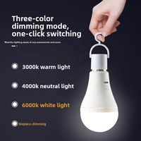 Ampoule LED portable rechargeable, culot E27, télécommande, CCT, trois couleurs, intensité réglable, lampe d'urgence pour intérieur, extérieur, camping