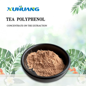 Offre Spéciale meilleur prix approvisionnement d'usine 98% polyphénols de thé, 80% catéchines, 50% extrait de thé vert EGCG - Product Image 6