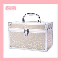 Argent Rétro Chic Maquillage Sac Grand Espace Multi-Couches Maquillage Boîte Voyage Cosmétiques Organisateur avec Mot de Passe Serrure Femmes 25x20x20cm