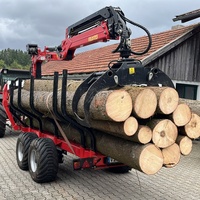Remorque forestière TR120 avec grue forestière, option de grue à bois, chargeur hydraulique, remorque à bois avec chargeur de bois