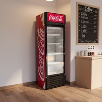 Refrigerador Vertical Comercial con Puerta de Vidrio para Bebidas, Termostato Mecánico, Iluminación LED, Enfriamiento por Aire de Bajo Ruido para Bares y Supermercados