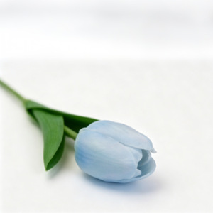 Fleurs artificielles en soie Meiduo Flower Industry, tulipes à branche unique, pour la décoration de la maison et les bouquets DIY - Product Image 4