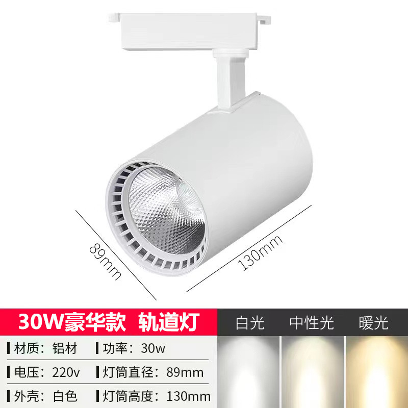 30W Luxury Model White Shell (Three-Wire)