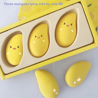 Éponge de maquillage triangulaire lavable hydrophile non consommable pour influenceurs