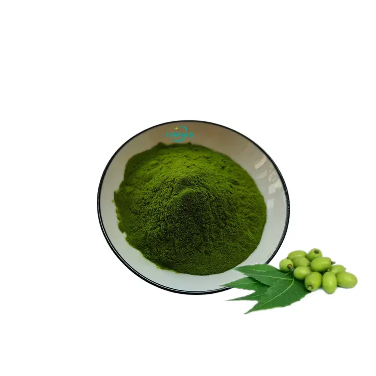 Planta orgânica natural extrato neem folha pó para cabelo neem pó