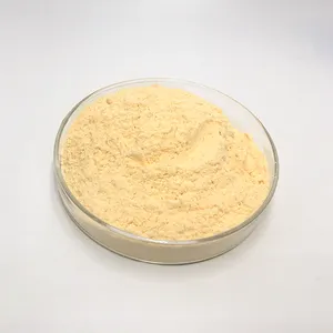 Factory Supply Papaya Juice Powder Papaya Enzyme Powder Papaya Powder With High Quality