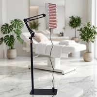 BC 2026 Panneau de luminothérapie rouge personnalisé ODM/OEM de haute qualité avec support pour usage domestique, soin de la peau, prise US/UK/AU