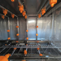 Unité de nettoyage pour conteneurs alimentaires / Laveuse automatique compacte pour paniers et caisses en plastique - Prix usine