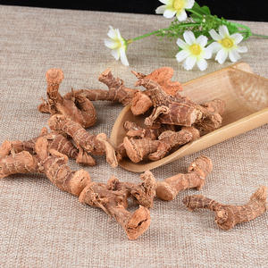 卸売業者工場 天然低価格乾燥ガランガル根 健康食品製品 ホールガランガル根 - Product Image 6