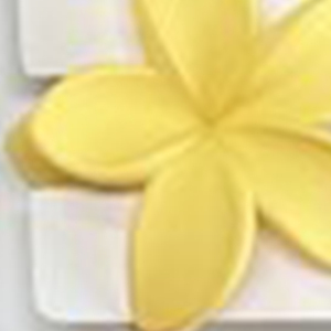 Fermagli per capelli a forma di fiore d'uovo resistenti, 12 cm, in plastica, stile dolce, accessori per capelli casual da donna - Product Image 5