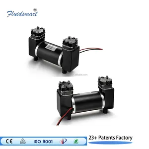 ARP12DC24P Hochdruck-Edelstahl kolbenpumpe 30L/min öl freie Schaukel kolbenpumpe 24-V-Doppelkolben-Vakuumpumpe