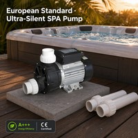 Pompe de bain à hydromassage 1 CV, sans marque, interrupteur pneumatique OEM, prise UE 50 mm, pieds en aluminium, 220 V, pompe à eau pour spa et bain à remous, étiquette neutre