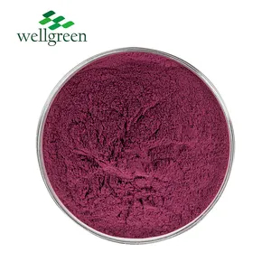 Wellgreen nước hòa tan hoa dâm bụt bột hoa dâm bụt Roselle Bột trà dâm bụt bột