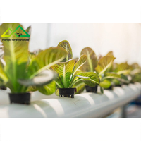 Système hydroponique à tuyaux en PVC multicouches |   Solution de serre modulaire pour la culture verticale de fraises et d'herbes