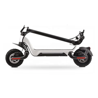 Trottinette Électrique 800W en Promotion, Cadre en Alliage d'Aluminium, Trottinette Pliante à Deux Roues