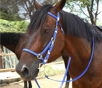 Bridon de cheval en PVC à double bride, confortable, durable et imperméable, coloré, vente en gros, offre spéciale