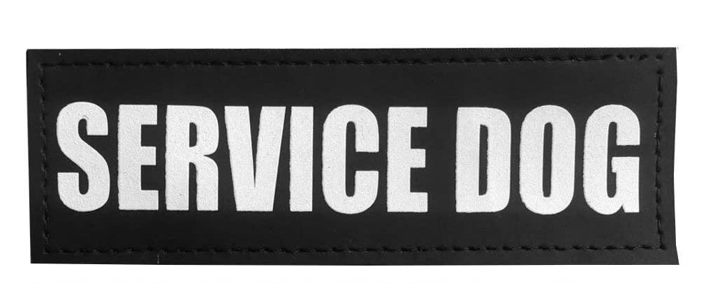 SERVICE DOG (Silver Letters)