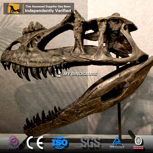 Của Tôi Dino Sợi Thủy Tinh Nhựa Khủng Long Lớn Allosaurus Đầu Sọ Bản Sao Trong Màn Hình Hiển Thị Hội Trường - Product Image 3