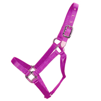 Conception de votre propre licou de cheval coloré en Nylon imprimé de transfert de chaleur accessoires de licou de cheval pour chevaux