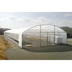 Tunnel Greenhouse Plastic Film Grow Tent para Outdoor Vegetais Cultivo e Plantação Tomate Estufa Agrícola