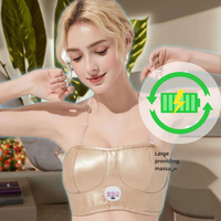 CE ROSH Heiß Verkaufender Gesundheits-Vibrator, Schön, Kompakt und Modisch, Vibrations-Brust-Elektro-BH-Brustmassagegerät