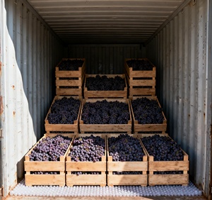 Uvas Rojas chinas dulces frescas de Venta caliente - Product Image 6