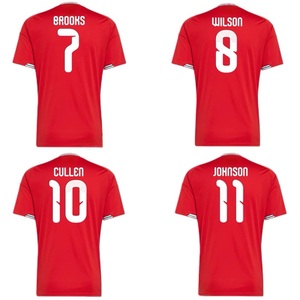 เสื้อฟุตบอลเวลส์สำหรับผู้ใหญ่ ฤดูกาล 2026/27 รุ่นนักเตะ/แฟนบอล พร้อมหมายเลขและตราสโมสร/รองรับการพิมพ์แบบส่วนตัว - Product Image 1