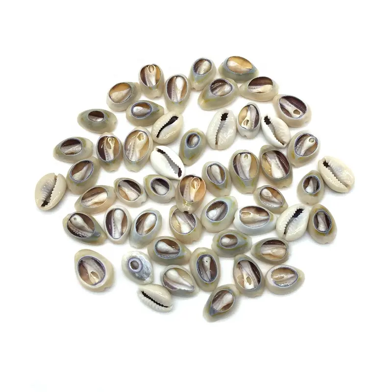 2019 Hot Sell Diy Natuurlijke Cowrie Zee Shell Kralen Dweil Koraal Geen Gat Los In Pack Voor Diy Maken Sieraden Accessoire