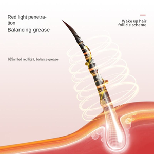 Individuelles Logo <span class=keywords><strong>5</strong></span>-in-<span class=keywords><strong>1</strong></span> Wiederaufladbarer Elektrischer Massagekamm Kopfhautmassagegerät |   OEM EMS/ION/IR/Vibrations-Haarvitalitäts- und Schuppenkontrollgerät - Product Image 4