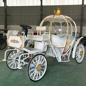 Horse Carriages Vintage Sightseeing Tourist Horse Drawn European Horse Carts Wagon Carriage for Sightseeing - Product Image 4