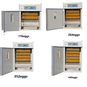 Máquina Incubadora Automática de Ovos Tipo Novo Popular 1000 para Incubação de Ovos 2025 - Product Image 4