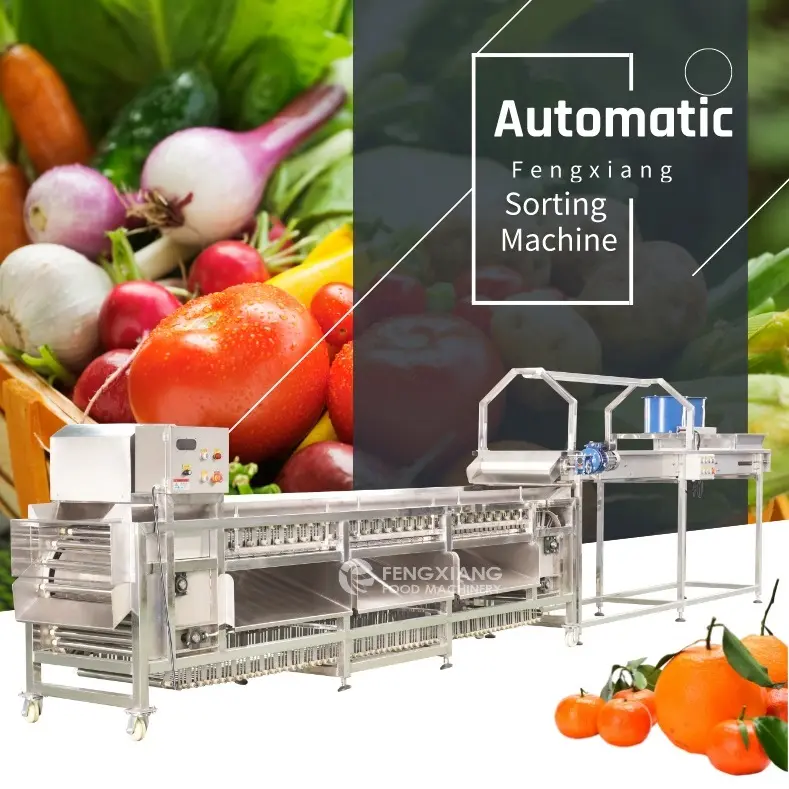 Factory Price Fruit and Vegetable Sorting Potato Mango Avocado Onion Dates Tomato Grading Machine