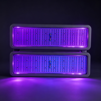 Projecteur LED UV 400W 365/395nm IP66 en alliage d'aluminium avec garantie de 5 ans pour scène, terrain de baseball et éclairage d'ambiance de fête