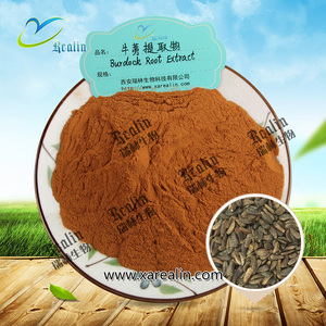 Extrait <span class=keywords><strong>de</strong></span> graines <span class=keywords><strong>de</strong></span> bardane en vrac, poudre d'extrait <span class=keywords><strong>de</strong></span> graines d'Arctium Lappa - Product Image 3