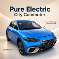 NUEN Voiture Électrique Compacte de Chine, Véhicule à Énergie Nouvelle pour Adultes, Importation EV avec 13000W de Puissance et <100km d'Autonomie, Hatchback à Conduite à Gauche
