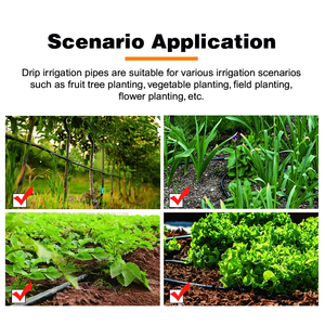 Tubería de <span class=keywords><strong>Riego</strong></span> <span class=keywords><strong>por</strong></span> <span class=keywords><strong>Goteo</strong></span> de Plástico de 1/4 de Pulgada para Transporte de Agua en Jardines y Agricultura - Product Image 6