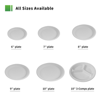 Assiettes jetables biodégradables en amidon de maïs, sans PFAS, réutilisables, écologiques, personnalisables, 6, 7, 8, 9, 10 pouces