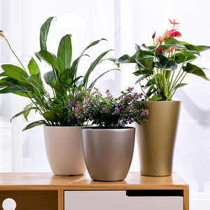 BRICE Vasi Moderni in Plastica PP Mini con Sistema di Auto-Irrigazione per Erbe <span class=keywords><strong>e</strong></span> Piante Succulente, per Interni, Soggiorno <span class=keywords><strong>e</strong></span> Giardino - Product Image 1