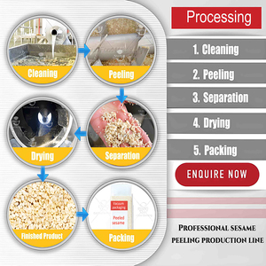 Ligne de production industrielle indienne de fabrication de tahini nettoyage automatique de la peau séparant l'épluchage des graines de sésame décortiqueuse - Product Image 2