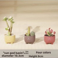 Pot de fleurs minimaliste de grand diamètre pour petites succulentes, en résine plastique imitation céramique argileuse, avec contrôle des racines